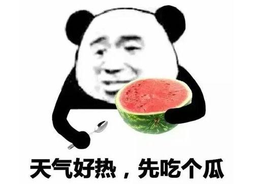 回复吃瓜表情包,揭秘热门事件背后的表情包风云