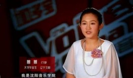 李玟事件爆料视频播放,真相与舆论的漩涡