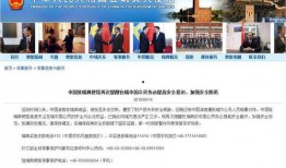 最新局势爆料新闻视频,独家爆料新闻视频深度解析