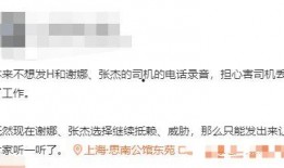 爆料张杰谢娜录音视频大全,揭秘明星夫妻甜蜜瞬间