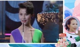 港姐早期 爆料视频大全,揭秘往昔风采与幕后故事