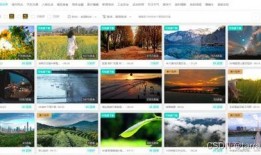 爆料素材视频,视频爆料背后的惊人真相