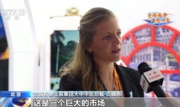 霍家二房爆料视频大全集,揭秘豪门恩怨与家族秘辛