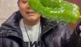 情侣网红吃瓜图片高清,网红情侣吃瓜图曝光，甜蜜互动引网友热议