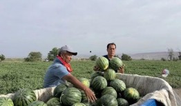 下峪口网红吃瓜,揭秘网络红人的幕后生活