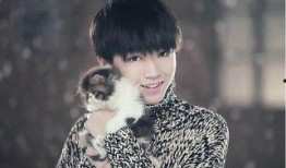 陈哲远女友爆料视频大全,揭秘恋情细节与幕后真相