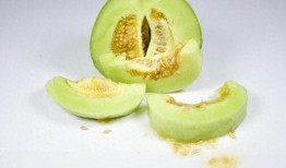 甜瓜游乐爆料视频大全,揭秘欢乐时光背后的精彩瞬间