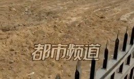 焦作武陟村民爆料事件最新,真相与争议交织的乡村风云