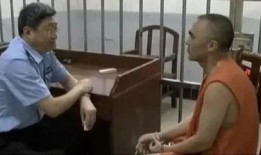 小偷刑警在线观看,智慧对决，正义与罪恶的较量