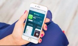 西瓜哥手机在线观看版,畅享高清娱乐新体验