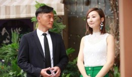 tvb迷28集在线观看,在线观看，揭秘剧情高潮迭起