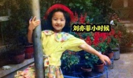 刘亦菲被爆料视频在线,真相究竟如何？