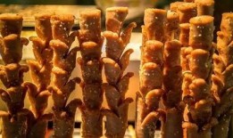 爆料地摊火腿肠视频教程,跟随视频教程学做美味街头小吃