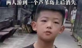 吉利小鲜肉最新爆料视频,揭秘神秘新车型背后的故事