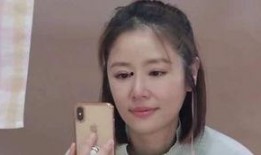 林心如家庭爆料视频,揭秘明星家庭背后的真实生活