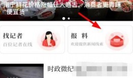 爆料特殊视频大全,爆料大全背后的惊人真相