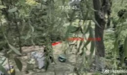 下峪口网红吃瓜,揭秘网络红人的幕后生活