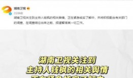 娱乐圈吃瓜流程,揭秘明星幕后故事，带你领略八卦风云