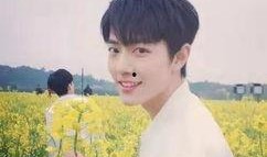 娱记爆料杨紫肖战视频,幕后真相引网友热议