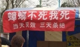 资阳摆摊爆料今日新闻,爆料今日热点事件