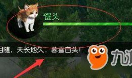 逆水寒最新爆料宠物攻略,解锁最强战宠，助你称霸江湖