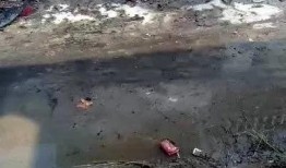 焦作武陟村民爆料事件最新,真相与争议交织的乡村风云