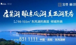 最新长沙资讯爆料,揭秘城市热点事件背后的真相
