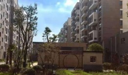 白鲨最新爆料视频网页,揭秘神秘视频背后的惊人真相