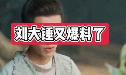 刘大锤爆料许姓艺人视频,许姓艺人私密视频引发热议