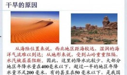 今日三农图文爆料视频