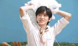 宋亚轩娱乐圈爆料,独家爆料背后的真相