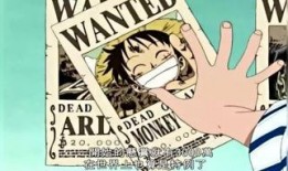 路飞悬赏爆料视频大全最新,揭秘最新悬赏金排行与冒险历程