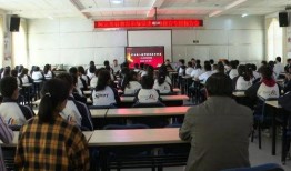 武林大会爆料新闻报道视频,幕后风云与精彩瞬间