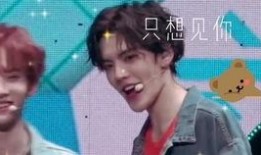 哲熙楚心最新爆料视频,背后惊人真相曝光！