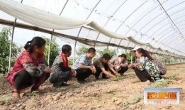 娱乐吃瓜封面如何做的好看,打造吸睛视觉盛宴的五大秘籍