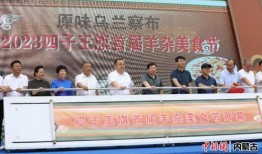 内蒙古文体在线观看,畅享草原文化盛宴