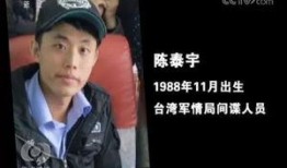 记者爆料间谍事件视频,记者曝光惊心动魄间谍事件视频