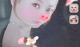 特效猪头爆料怎么做视频,揭秘视频制作背后的秘密