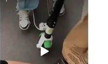 徐志胜鞋带爆料了吗视频,揭秘背后真相与网络舆论风暴