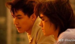 中国同性恋电影在线观看,中国同性恋电影在线观影指南