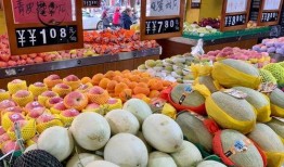 甜瓜游乐爆料视频大全,揭秘欢乐时光背后的精彩瞬间