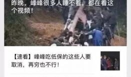 峰峰爆料最新消息,最新热点事件深度解析