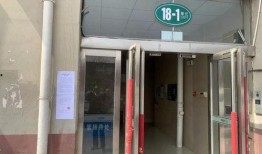 卖惨夫妻爆料视频大全集,揭秘现实生活中的心酸与无奈