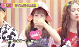 小七吃不停爆料视频,揭秘美食达人疯狂尝鲜之旅