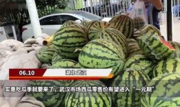 武汉吃瓜免费网站,揭秘城市美食圈的秘密花园