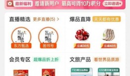东方甄选黑粉爆料视频大全,视频大全背后的真相与争议