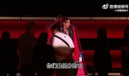 李玟事件爆料视频播放,真相与舆论的漩涡