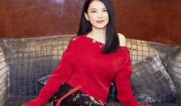 李湘爆料母亲是谁啊视频,母亲身份成谜，视频爆料引发热议