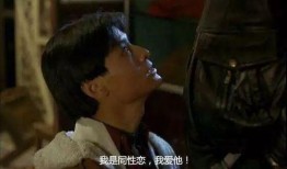 中国同性恋电影在线观看,中国同性恋电影在线观影指南