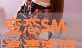 Sm在线观看,揭秘热门剧集的魅力所在